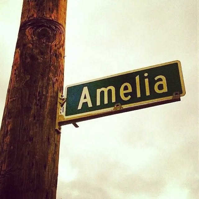 Amelia street sign photographed beside a wooden pole